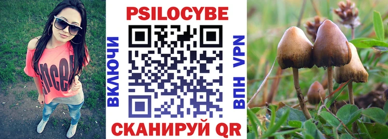 Псилоцибиновые грибы Psilocybe  Купить закладки  Болотное 